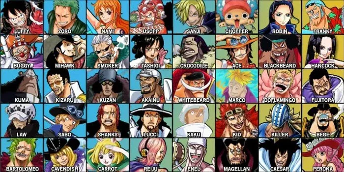 Karakter-One-Piece-Fighting